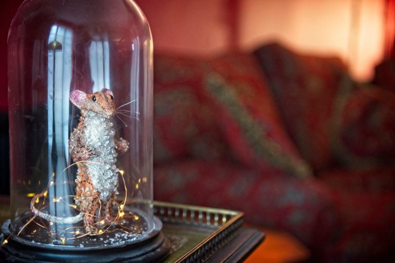 The Old Vicarage Hotel & Restaurant بريدجواتر المظهر الخارجي الصورة A mouse in a bell jar